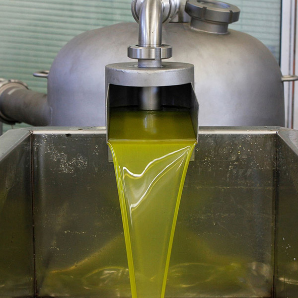 Soğuk Sıkım Zeytinyağı - 1 Lt